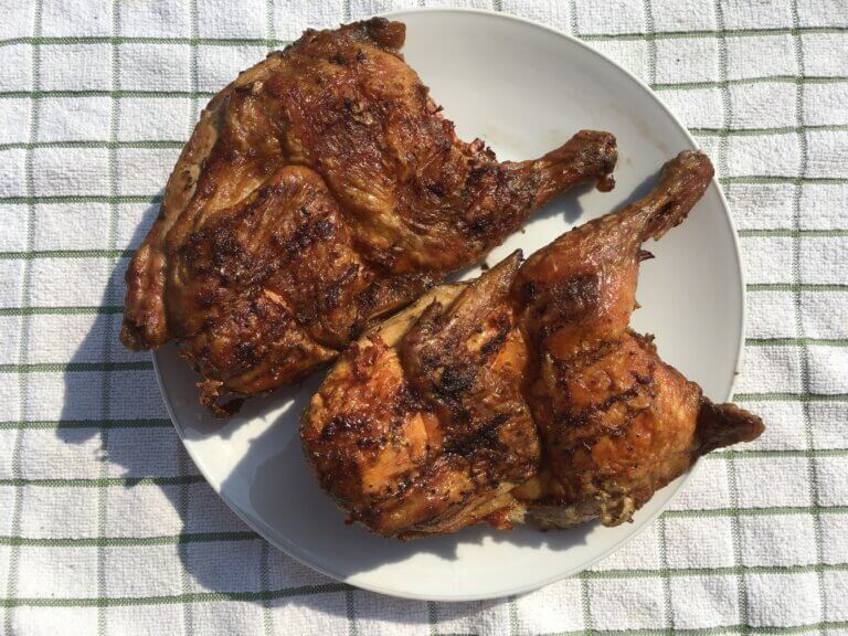 Barbecued chicken on a plate.