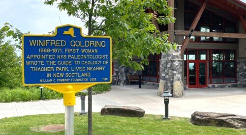 Digging into the History of New York’s first female state Paleontologist Winifred Goldring